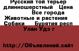 Русский той-терьер длинношерстный › Цена ­ 7 000 - Все города Животные и растения » Собаки   . Бурятия респ.,Улан-Удэ г.